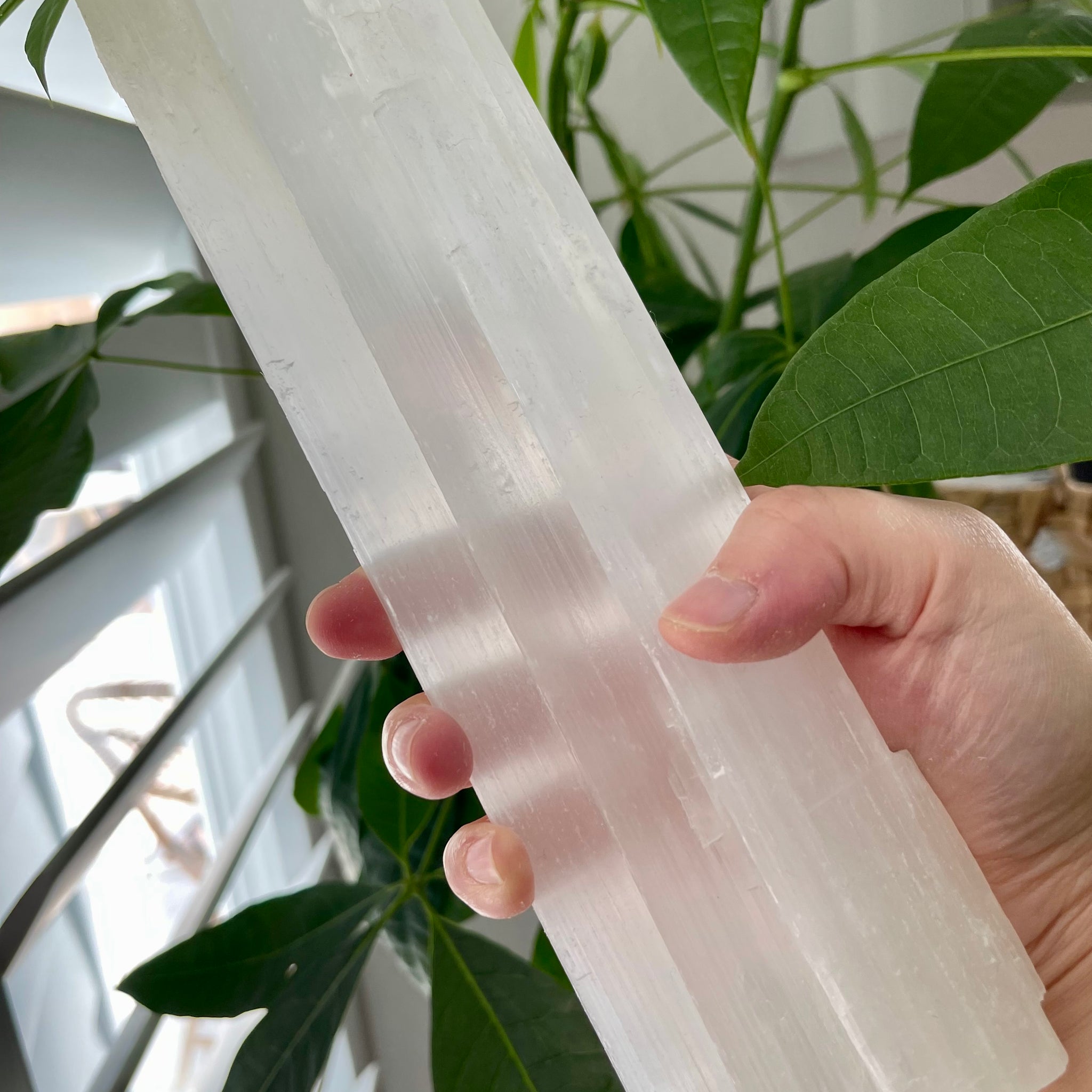 Selenite Sticks 9-10 inches, Raw Selenite Bar