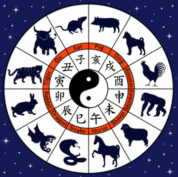 BaZi (八字) Four Pillars of Destiny, Chart Reading